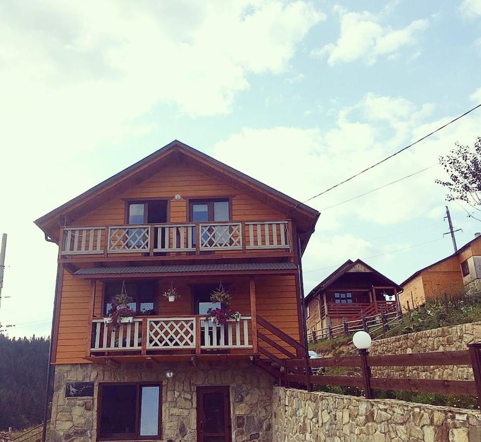 Apartment вовкаль Yablunytsya